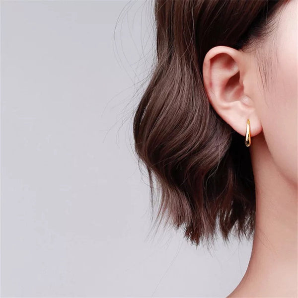Tiny Teardrop Earrings