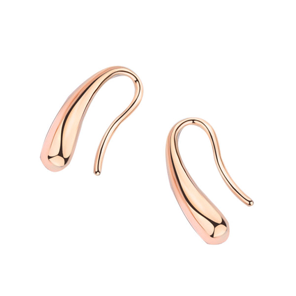 Tiny Teardrop Earrings